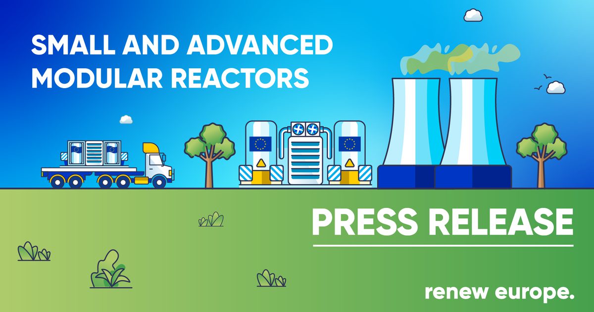Assystem Advanced Modular Reactor Small and Advanced Modular Reactors will become a… - Renew Europe