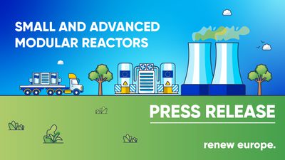 PR Position Paper SMR