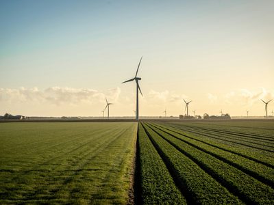Sustainability renewed