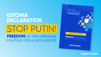 Estonia Declaration landscape