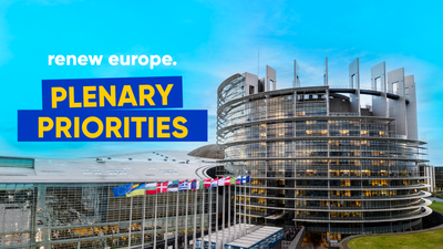 Renew Plenary Priorities