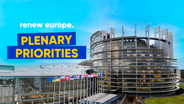 Renew Plenary Priorities