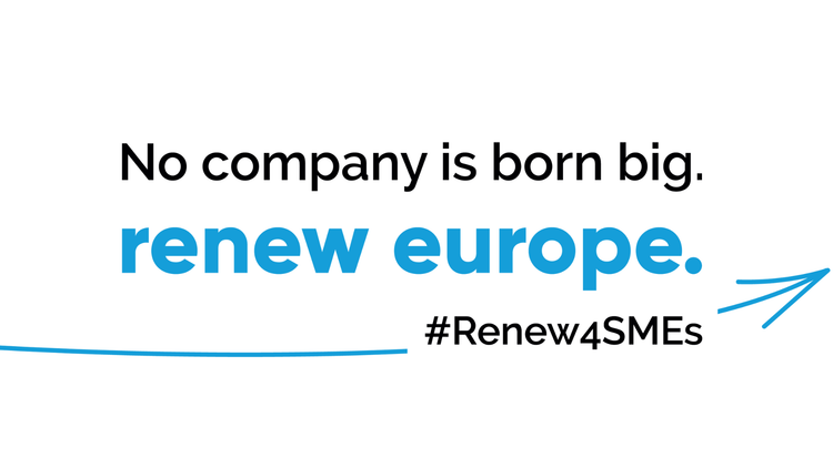 Renew4smes