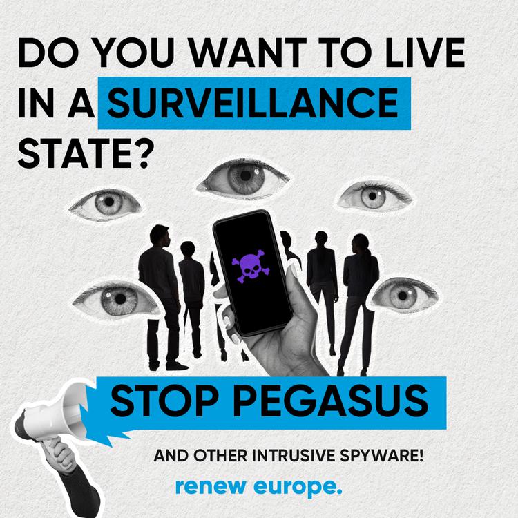 Renew Pegasus visual 2 v3 1