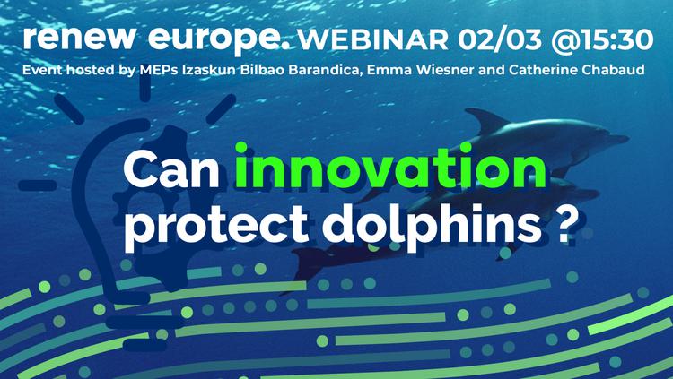 220302 Can Innovation Protect Dolphins webinar Twitter