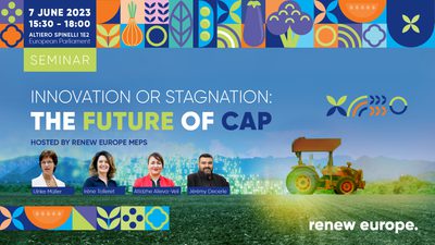 SM Future of the Cap Landscape
