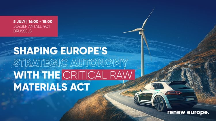 Critical raw materials landscape