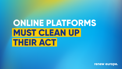 Online platforms landscape