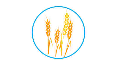 Cover website