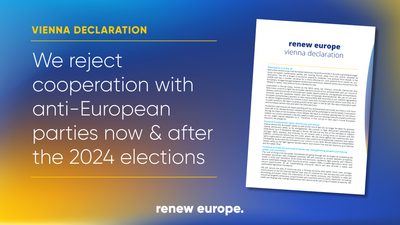 Vienna declaration PR landscape LK