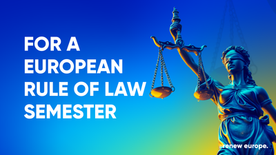 Rule of law cycle landscape