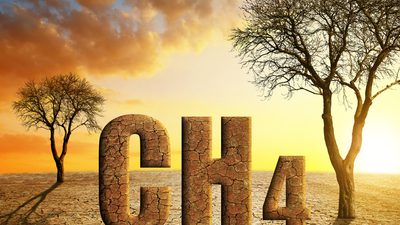 Getty Images 1318603734