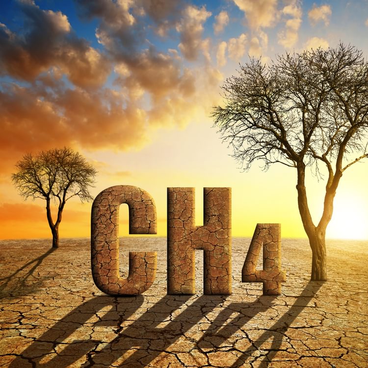 Getty Images 1318603734