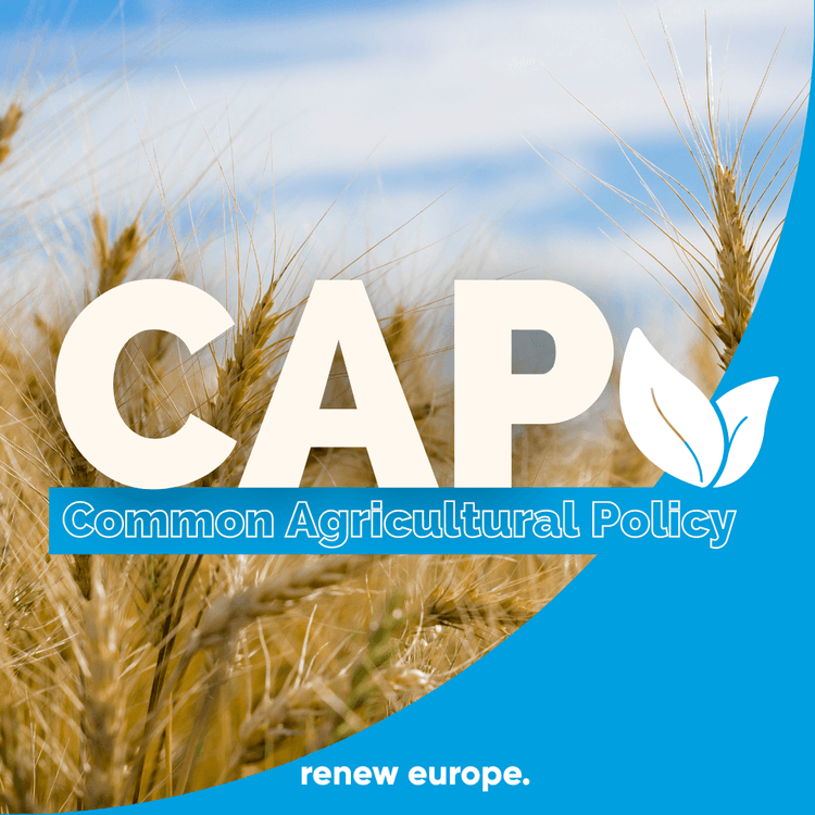 CAP Common Agricultural Policy General