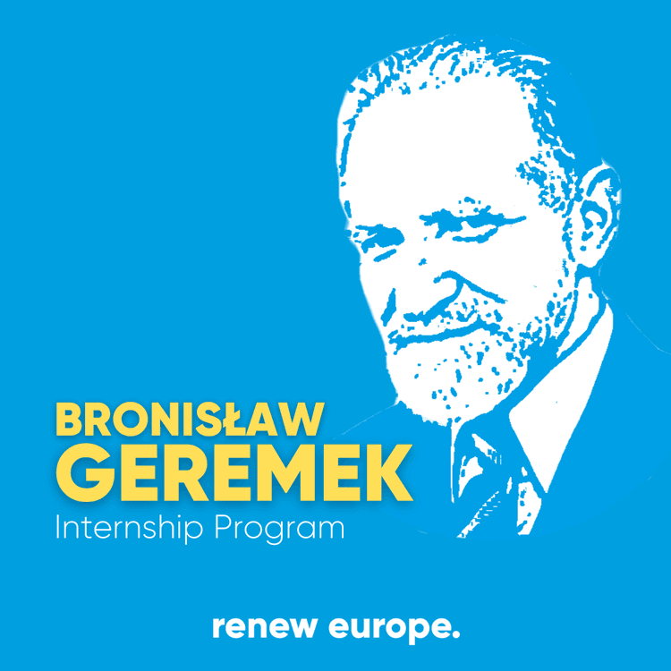 GEREMEK INTERNSHIP PROGRAM final