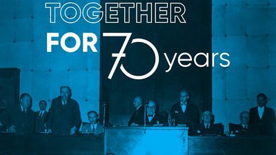 Photo 5469785399036592127 y