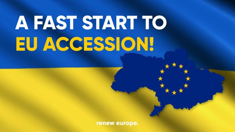 Ukraine accession process landscape