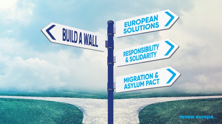 Migration wall landscape witohu