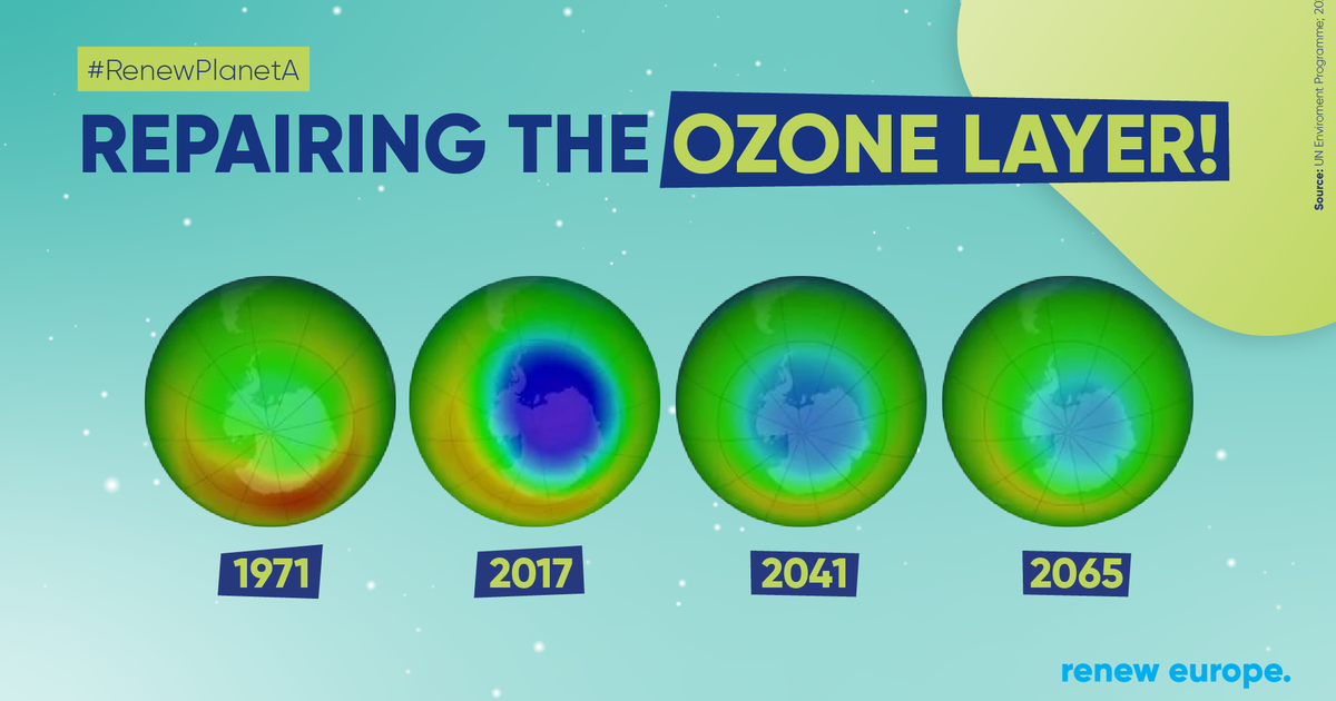 Sealing the ozone hole is within sight - Renew Europe