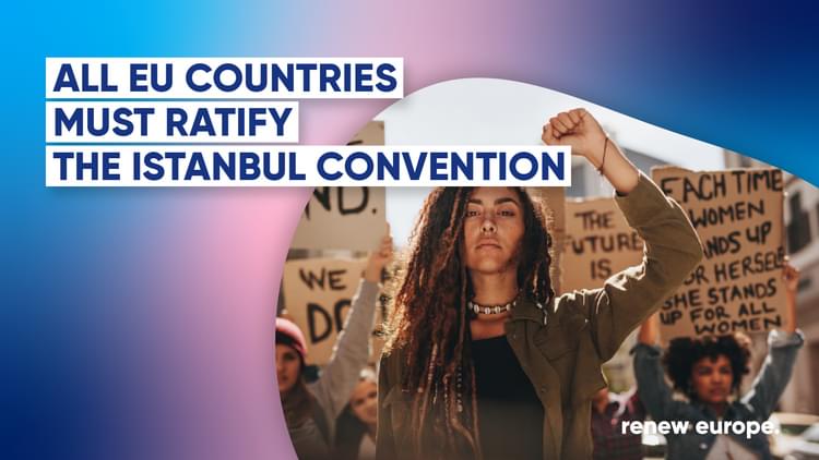 Istanbul convention landscape 1
