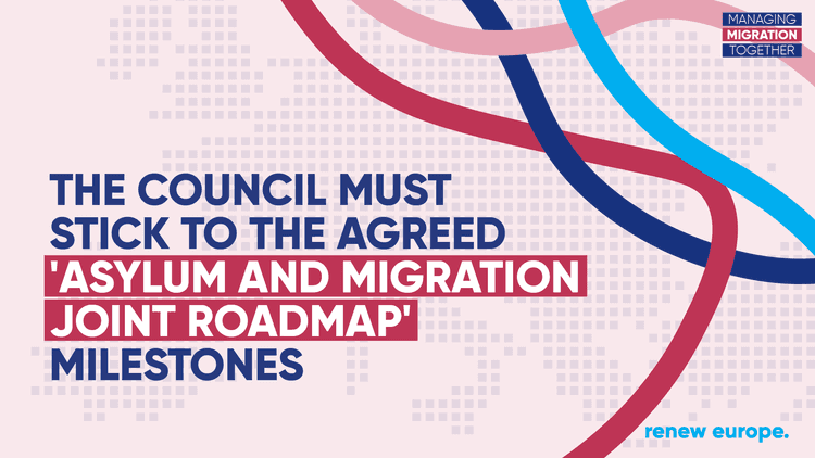 Council migration landscape