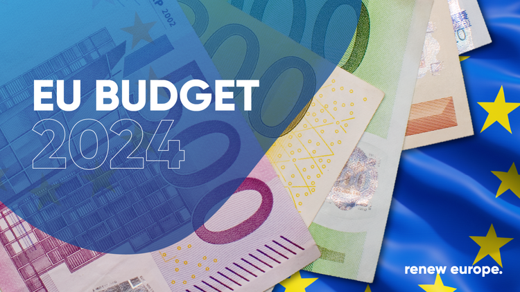 Eu budget 2024 landscape