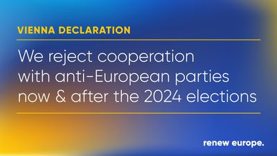 Vienna declaration PR landscape
