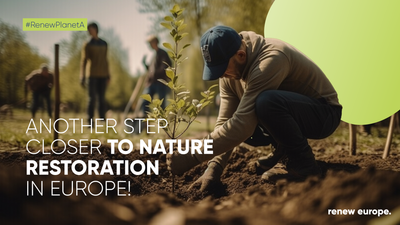 Nature restoration law vote landscape