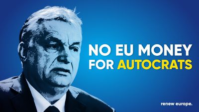 Whats App Image 2023 12 13 at 11 58 17