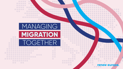 Migration campaign landscape