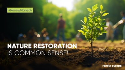 Nature restoration law final vote landscape V02