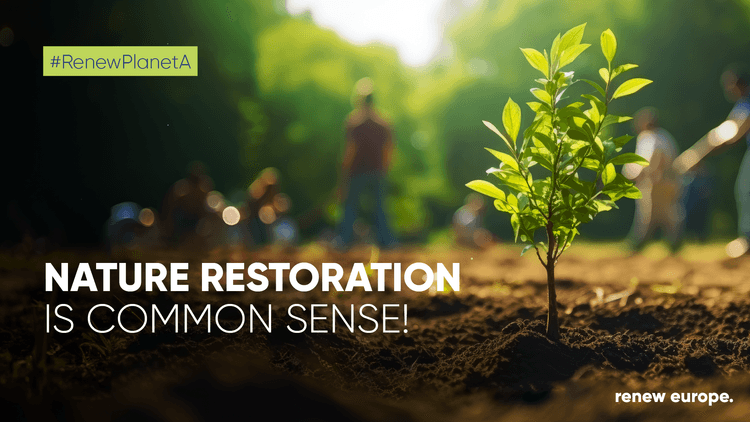 Nature restoration law final vote landscape V02