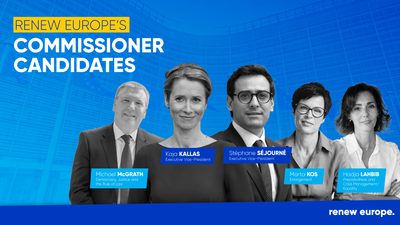 RE Commissioner candidates landscape 1