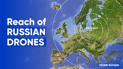 Russian drones landscape