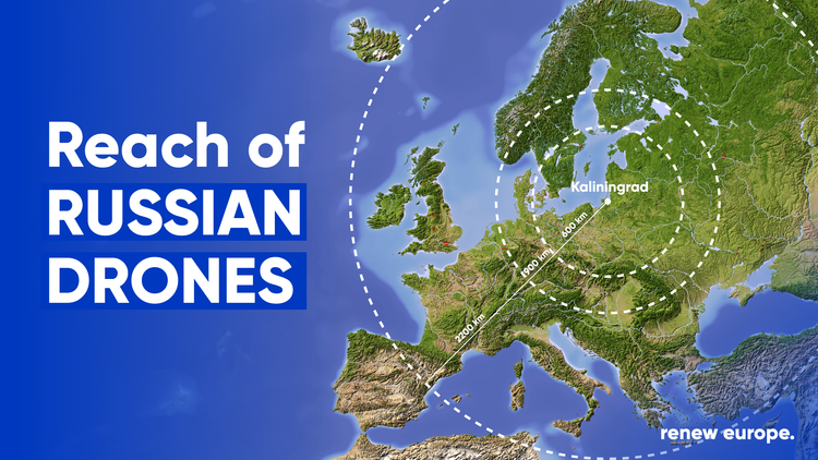 Russian drones landscape